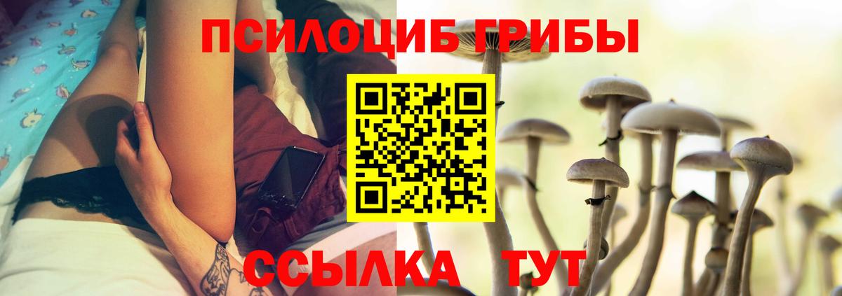 Галлюциногенные грибы Psilocybe Асбест